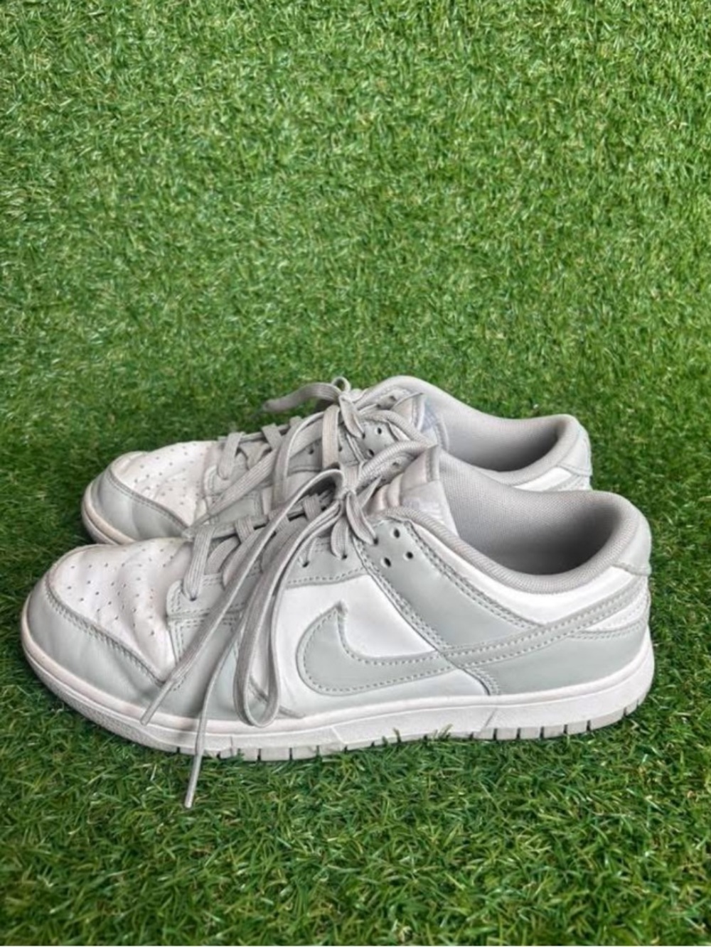 Nike Men’s Dunks